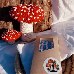 fly algaric mushroom
