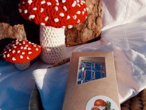 fly algaric mushroom