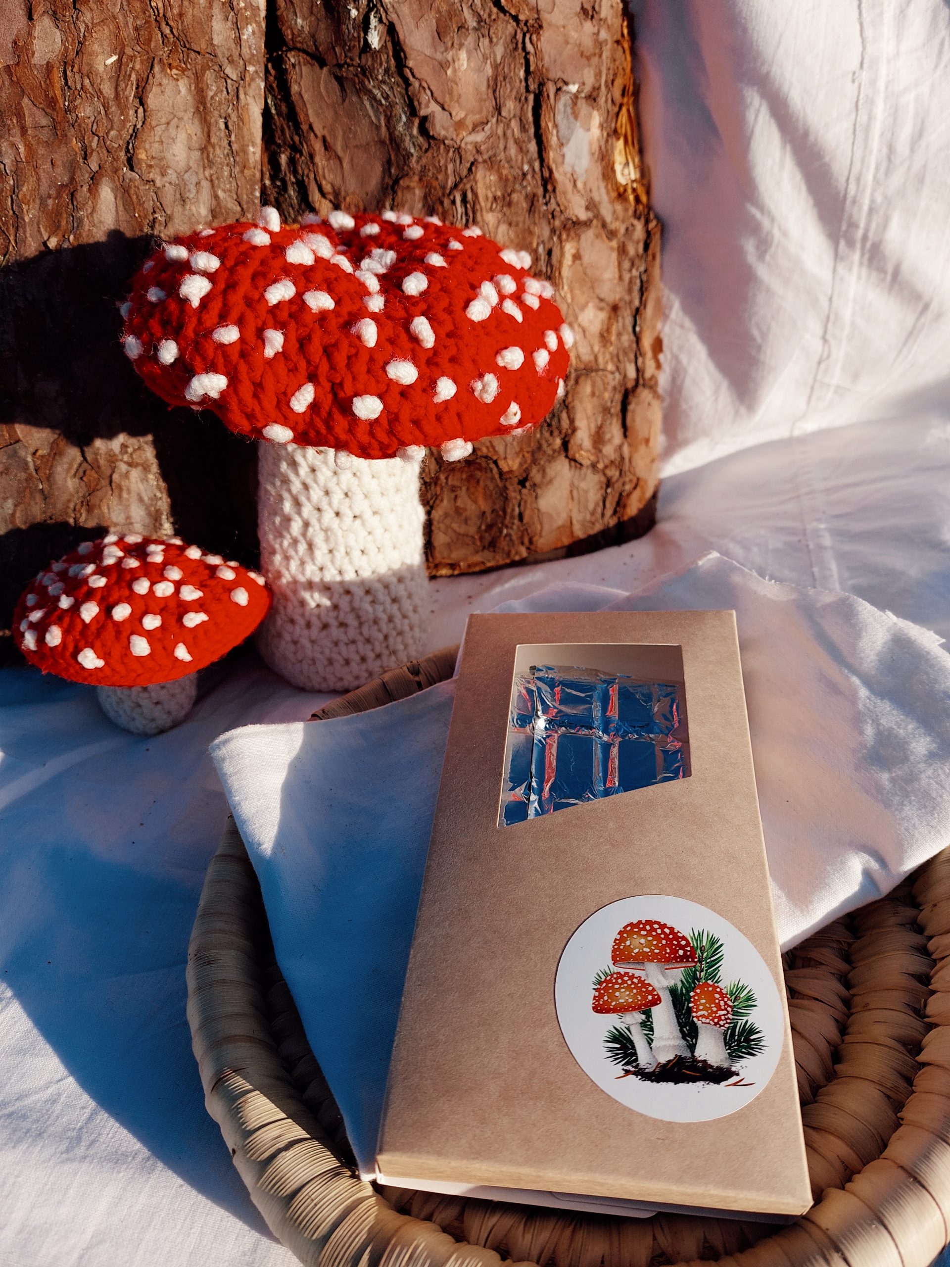 fly algaric mushroom
