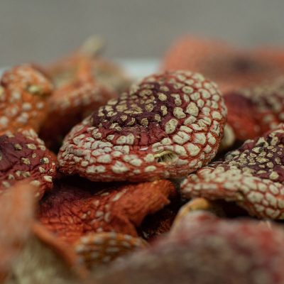 fly agaric fly agaric