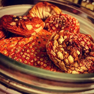 fly agaric fly agaric